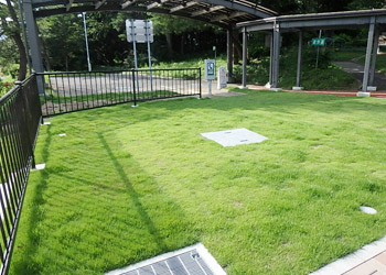 法面緑化･補強